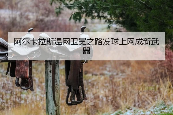 a-er-ka-la-si-wen-wang-wei-mian-zhi-lu-fa-qiu-shang-wang-cheng-xin-wu-qi-2-679.jpg