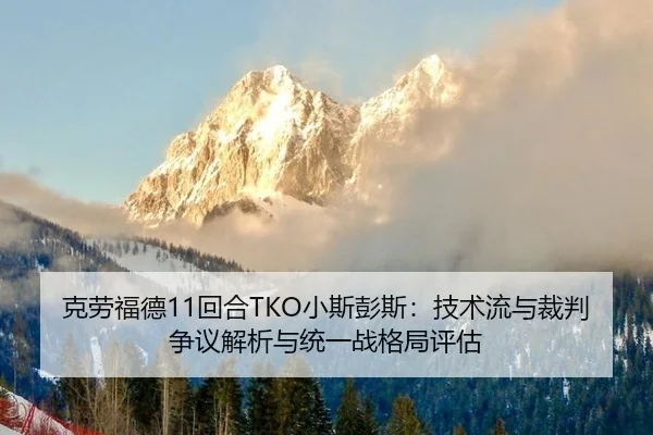 ke-lao-fu-de-hui-he-xiao-si-peng-si-ji-shu-liu-yu-cai-pan-zheng-yi-jie-xi-yu-tong-yi-zhan-ge-ju-ping-gu-3-397.jpg