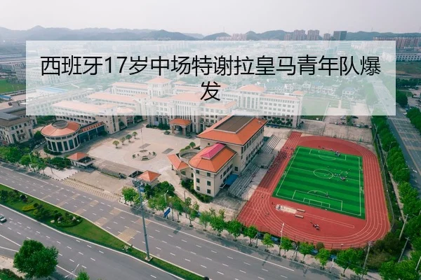 西班牙17岁中场特谢拉皇马青年队爆发