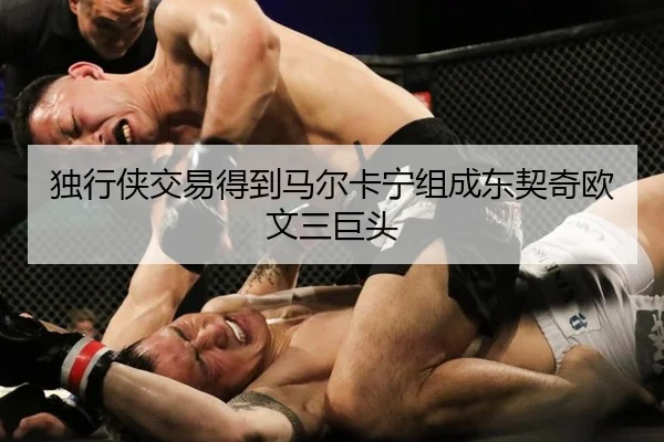 独行侠交易得到马尔卡宁组成东契奇欧文三巨头