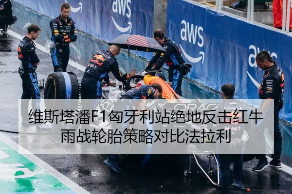 维斯塔潘F1匈牙利站绝地反击红牛雨战轮胎策略对比法拉利