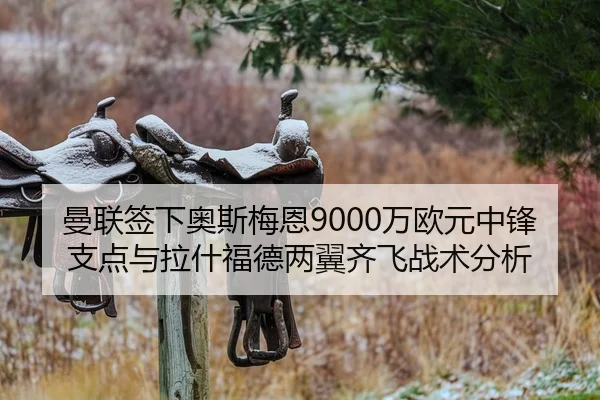 man-lian-qian-xia-ao-si-mei-en-wan-ou-yuan-zhong-feng-zhi-dian-yu-la-shen-fu-de-liang-yi-qi-fei-zhan-shu-fen-xi-2-135.jpg