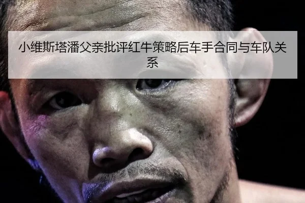xiao-wei-si-ta-pan-fu-qin-pi-ping-hong-niu-ce-lve-hou-che-shou-he-tong-yu-che-dui-guan-xi-3-358.jpg