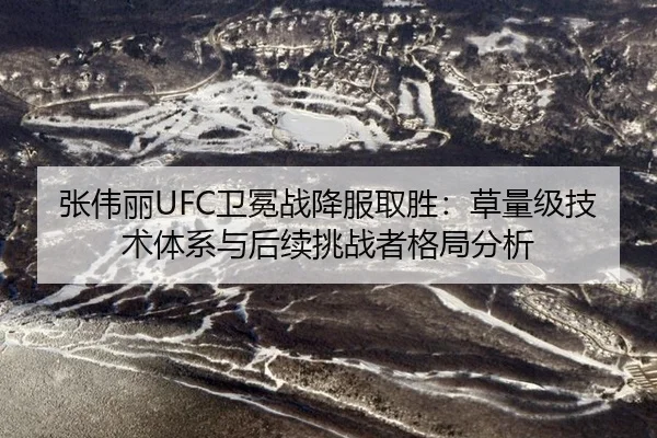 张伟丽UFC卫冕战降服取胜：草量级技术体系与后续挑战者格局分析